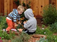 Apple Seed Little School