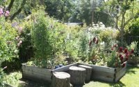 Lafayette Kid’s Cottage