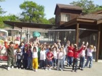Martinez Early Childhood Center, Inc.